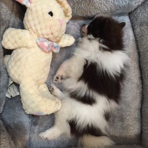 Meet your Posher, Paola